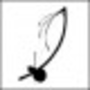 3b09b23e7db5ec836845be79ba13451e S=40&d=blank&r=r Image