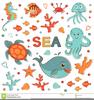 Real Sea Animal Clipart Image