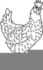 Chicken Clipart Outline Image