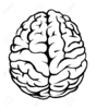 Brain And Clipart Image