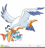 Cartoon Seagull Clipart Image