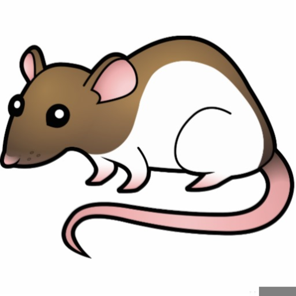 Rats clipart free free images at clker vector clip art online