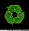 Grass Growing Clipart Image