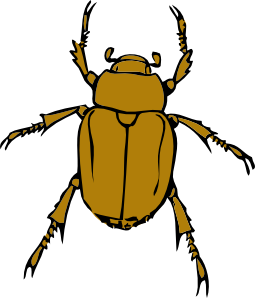 Beetle Bug Clip Art