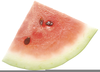 Clipart Watermelon Slice Image