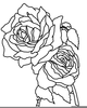 Sketch Rose Clipart Image