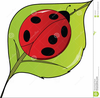 Ladybug With Book Clipart Image