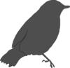 Gray Bird Clip Art