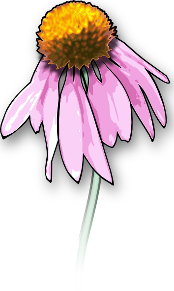 Download Dead Flower Clip Art at Clker.com - vector clip art online ...