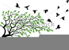 Flying Bird Clipart Silhouette Image