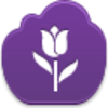 Tulip Icon Image