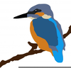 Free Clipart Kingfisher Image