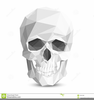 Human Skeleton Clipart Image