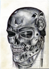 Terminator Head Drawings Image