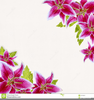 Clipart Easter Lilies Image