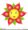 Flowers With Faces Clipart Image