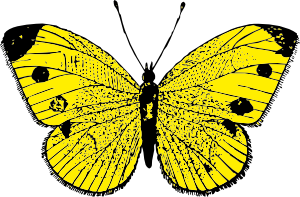 Yellow Butterfly Clip Art