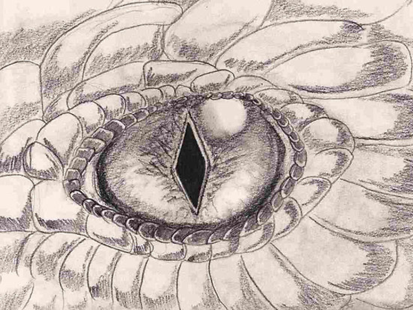 Dragon Eye | Free Images at Clker.com - vector clip art ...