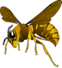 Brown Yellow Hornet Clip Art