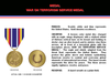 Global War On Terrorism Service Medal Image