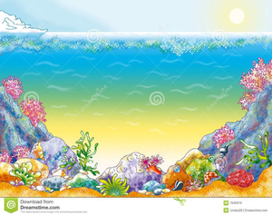 Seashell Background Clipart Image