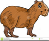 Animal Images Animated Clipart Image