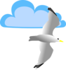 Seagull And Cloud Clip Art