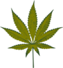 Cannabis Leaf Clip Art