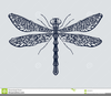 Free Clipart Of A Dragonfly Image