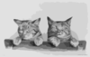 [two Kittens] Clip Art