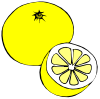 Grapefruit Clip Art