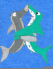 Shark Dolphin Relationship Image