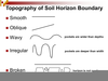 Soil Horizon Boundaries Image