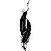 Native Indian Feathers Clipart Image
