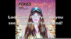 Foxes Echo Lyrics Image