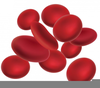 Cells Clipart Image