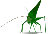 Emeza Grasshopper Clip Art