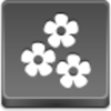 Flowers Icon Image