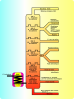 Laurent Petroleum Distillation Clip Art