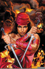 Marvel Elektra Image