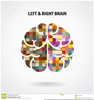 Right Brain Left Brain Clipart Image