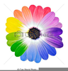 Flower Petals Clipart Image