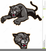 Free Clipart Animals Cougar Image