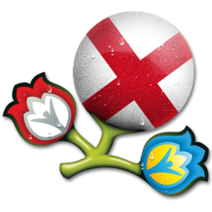 Euro 2012 England 256 Image