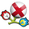 Euro 2012 England 256 Image