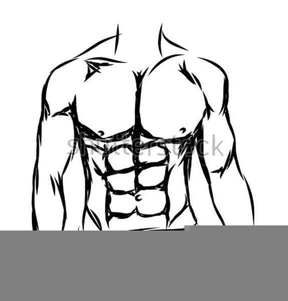 Six Pack Abs Clipart | Free Images at Clker.com - vector clip art