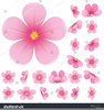 Clipart Japanese Cherry Blossom Image