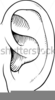 Ears Clipart Black And White Image