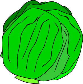 Whole Lettuce Clip Art