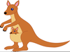 Australia Kangaroo Clipart Image
